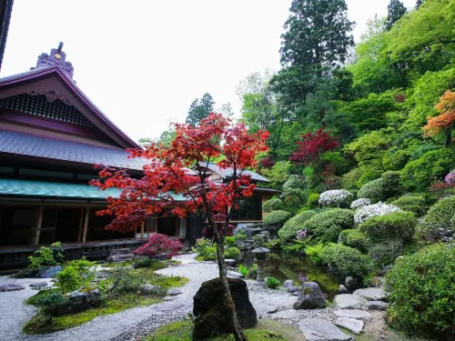 大観荘せなみの湯