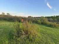 Fox Den Retreat glamping - Homestay