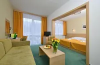 LH Parkhotel Hluboka Nad Vltavou Congress & Wellness - Wifi