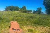 Hot Tub, Orchard & Grand Mesa Views! Dream Home! - 2-Star