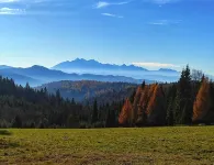 Comfortable Holiday Villa in the Mountains, Sauna - Homestays