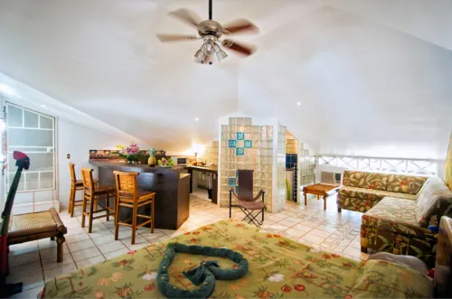 Oceanfront Hotel Verde Mar Direct Access to the Beach - acceptant les animaux