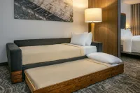 SpringHill Suites Hershey Near the Park - Nouto- ja jättöpalvelut
