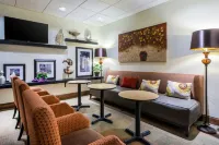 Hampton Inn Clifton Park - Pools