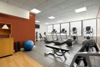格林維爾希爾頓飯店 - Wi-Fi
