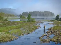 Havsdalsgrenda