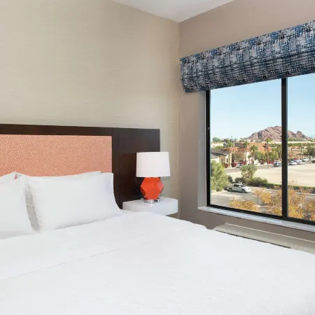 Hampton Inn Phoenix-Airport North