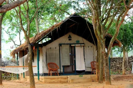 班納加塔自然營舍-叢林小屋