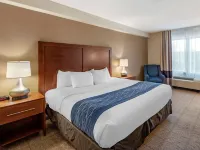 Comfort Inn & Suites Virginia Beach - Norfolk Airport Hotels in Virginia Beach