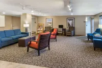 Comfort Inn - Pet friendly