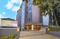 Ginger Pune Wakad Hotels near Neo Play Zone