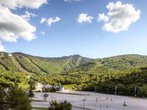 Mt Green 2-f04 in Killington