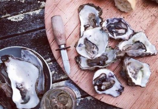 디스커버 숙소의 아늑한 내부 인테리어 또는 벽난로