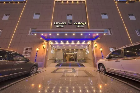 Levant Hotel Отели в г. Найран