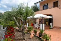 Room in Villa - Room on the Hill with Garden and Sea View