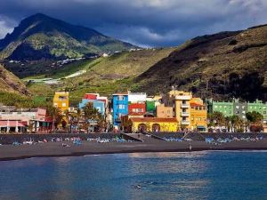 Caracol Trail Mountain La Palma Junto a Trebol