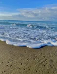 Appartamento Mare Toscana - Marina di Bibbona - Riviera degli Etruschi