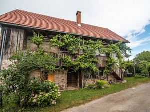 Vintage House Podliparska