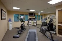 Holiday Inn Express & Suites ROCHESTER by IHG - Fitnessstudio