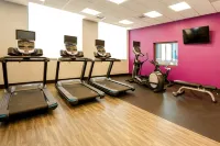 Hampton Inn and Suites Aurora South Denver - Gym