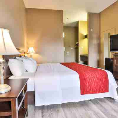 Comfort Inn & Suites Rooms