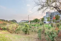 Cheng Master Homestay Beside Old Street (Youshan Road)