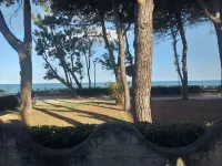 Spacious Double Room Beside the Sea Hotels in Pineto