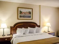 Quality Inn & Suites Pensacola Bayview Hotels in Ferry Pass