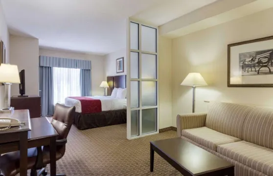 奧利夫布蘭奇西舒適套房酒店