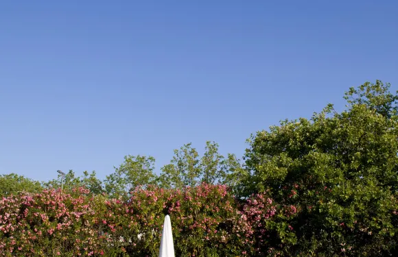 聖盧西亞艾瓦斯酒店