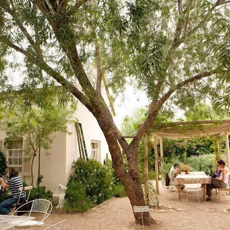 Prince Albert Country Stay