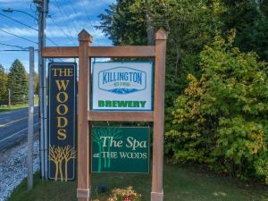 The Woods by Killington Vacation Rentals - 3 Bedrooms