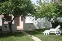 Agriturismo Terra dei Profumi - farm stay