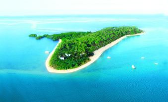 a serene tropical island with lush greenery and white sandy beaches , surrounded by clear blue water at Likuri Island Resort Fiji