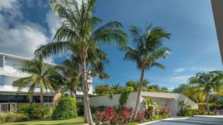 cayman-luxury-rentals-at-the-grove