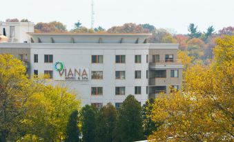 Viana Hotel and Spa, Trademark Collection by Wyndham - Housity