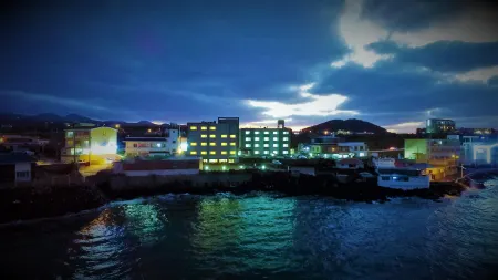 Fantastic Ocean View Sydney Hotel Отели в г. Чеджу