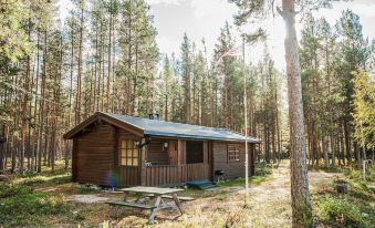 Amazing Home in Atna with 1 Bedrooms and Wifi