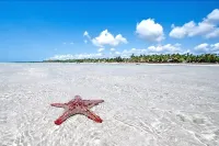 Rafiki Village Hotels in Watamu
