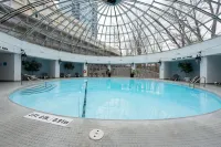 Toronto Don Valley Hotel - piscina
