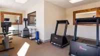 Quality Inn & Suites - Gym