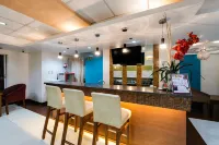 Festive Hotel Makati - bar