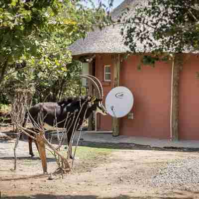 Mokorro Game Ranch and Lodge Hotel Exterior