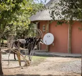 Mokorro Game Ranch and Lodge Hotéis em Chingola