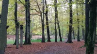 Wald-Hotel - Pysäköinti