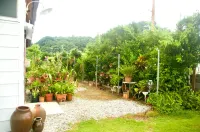 Guest House Hibiscus