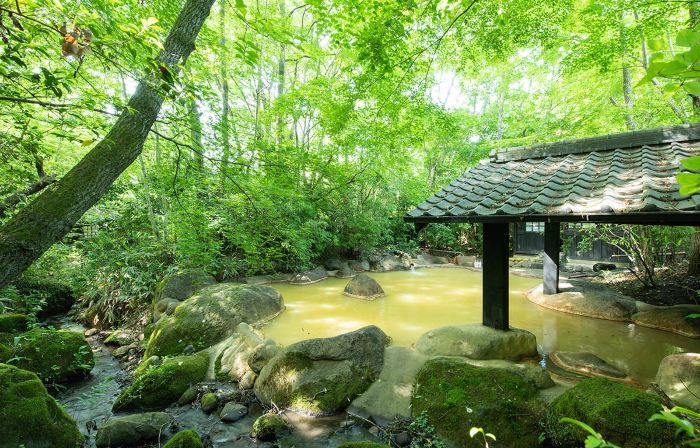 Ryokan Shinseikan