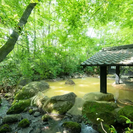 Ryokan Shinseikan