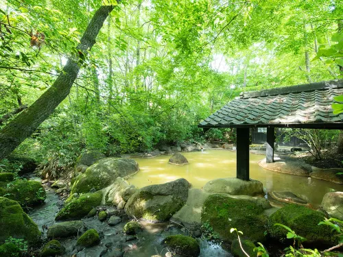 Ryokan Shinseikan - 2 tähden