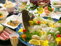 هوتل ناجيسا